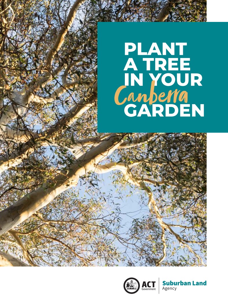 Plant a Tree in Your Canberra Garden Guide cover