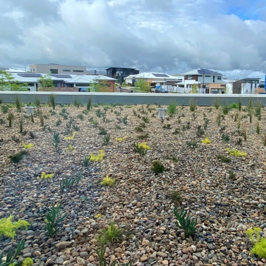 green roof card