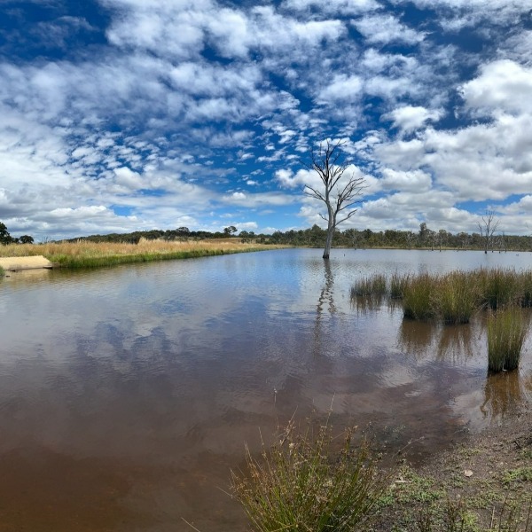 /images/default-source/places/throsby/throsby-ponds.jpg?sfvrsn=70744f10_2